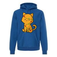 Cute Orange Cat With Xmas Lights Love Cats Funny Gift Premium Hoodie