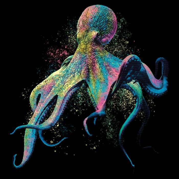 Colorful Octopus Tie-Dye T-Shirt