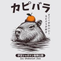 Capybara Onsen Capybara With Orange Capybara Lovers Womens Funnel Neck Pullover Hood
