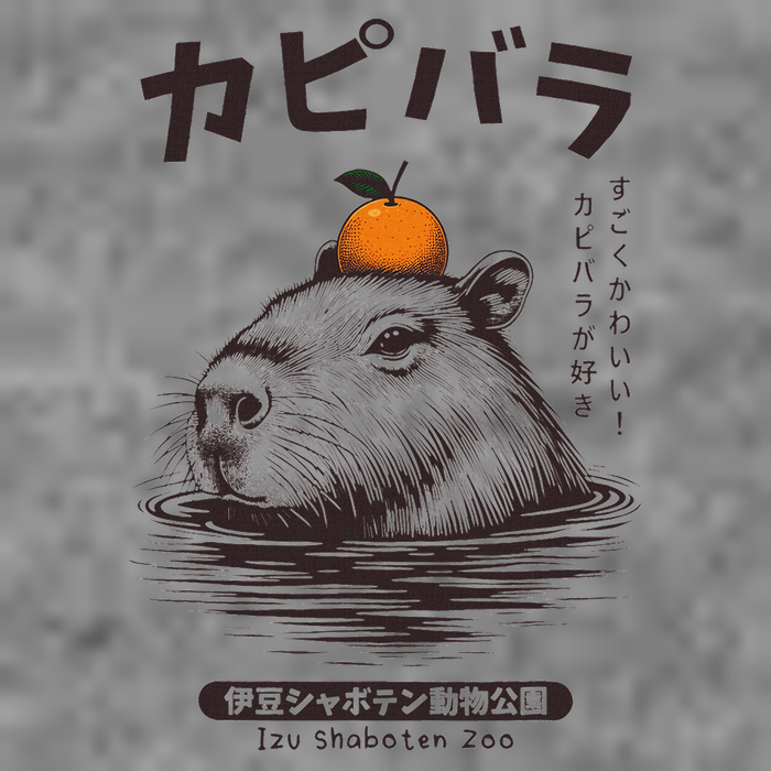 Capybara Onsen Capybara With Orange Capybara Lovers Toddler Sweatshirt