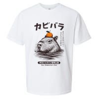 Capybara Onsen Capybara With Orange Capybara Lovers Sueded Cloud Jersey T-Shirt