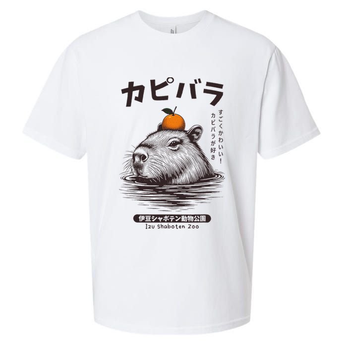 Capybara Onsen Capybara With Orange Capybara Lovers Sueded Cloud Jersey T-Shirt