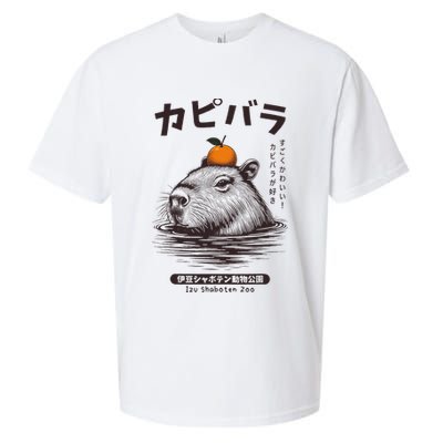 Capybara Onsen Capybara With Orange Capybara Lovers Sueded Cloud Jersey T-Shirt