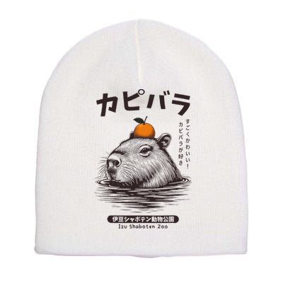 Capybara Onsen Capybara With Orange Capybara Lovers Short Acrylic Beanie