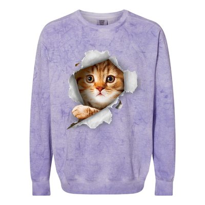 Cat, Orange Cat, Cat Torn Cloth, Kitten Colorblast Crewneck Sweatshirt