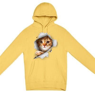 Cat, Orange Cat, Cat Torn Cloth, Kitten Premium Pullover Hoodie