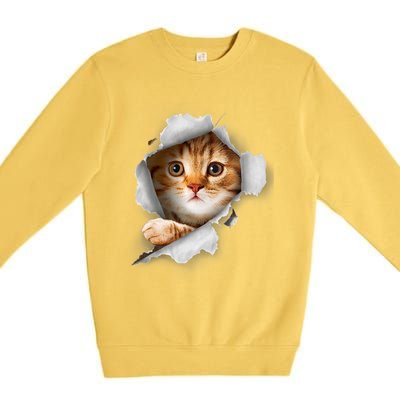 Cat, Orange Cat, Cat Torn Cloth, Kitten Premium Crewneck Sweatshirt