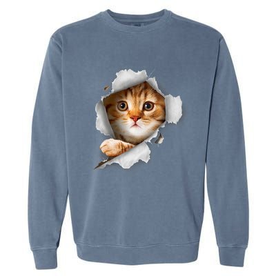 Cat, Orange Cat, Cat Torn Cloth, Kitten Garment-Dyed Sweatshirt