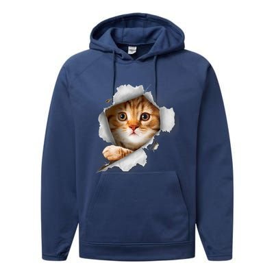 Cat, Orange Cat, Cat Torn Cloth, Kitten Performance Fleece Hoodie