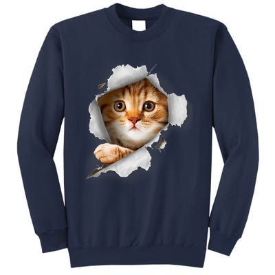 Cat, Orange Cat, Cat Torn Cloth, Kitten Sweatshirt