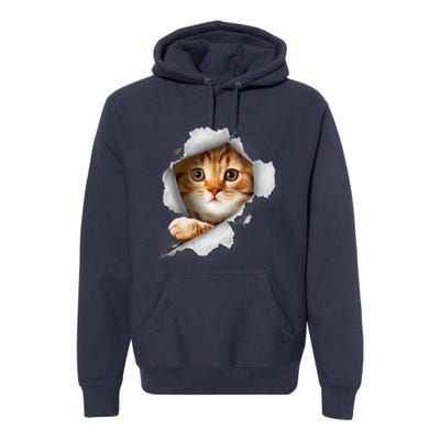 Cat, Orange Cat, Cat Torn Cloth, Kitten Premium Hoodie