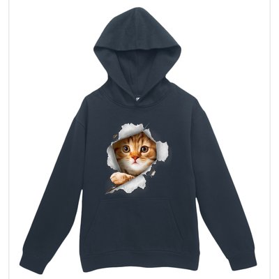 Cat, Orange Cat, Cat Torn Cloth, Kitten Urban Pullover Hoodie