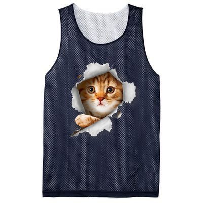 Cat, Orange Cat, Cat Torn Cloth, Kitten Mesh Reversible Basketball Jersey Tank