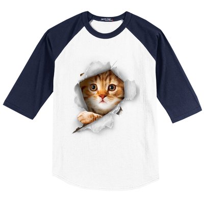 Cat, Orange Cat, Cat Torn Cloth, Kitten Baseball Sleeve Shirt