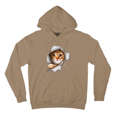 Cat, Orange Cat, Cat Torn Cloth, Kitten Hoodie