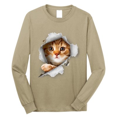 Cat, Orange Cat, Cat Torn Cloth, Kitten Long Sleeve Shirt