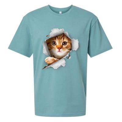 Cat, Orange Cat, Cat Torn Cloth, Kitten Sueded Cloud Jersey T-Shirt