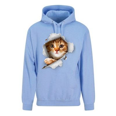 Cat, Orange Cat, Cat Torn Cloth, Kitten Unisex Surf Hoodie