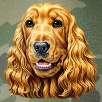 Cocker Spaniel Face Legacy Tie Dye Trucker Hat