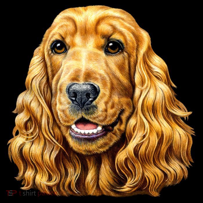 Cocker Spaniel Face Drawstring Bag