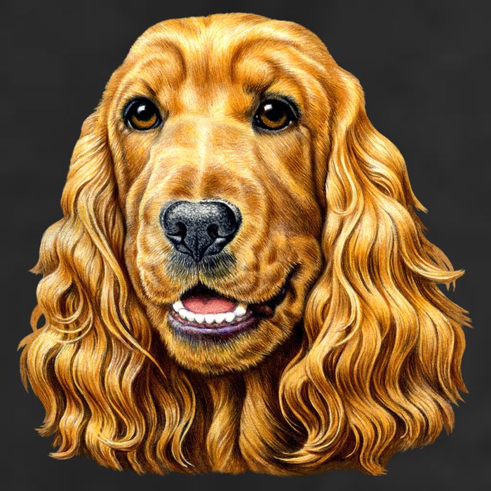 Cocker Spaniel Face Golf Towel