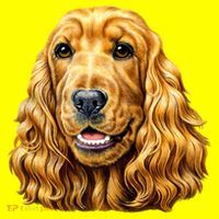 Cocker Spaniel Face 11oz C Handle Ceramic Mug