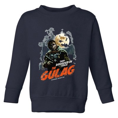 Call Of Duty Halloween Gulag Tryhards Never Die Distressed Toddler Sweatshirt