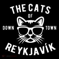 Cats of Downtown Reykjavik Tall T-Shirt
