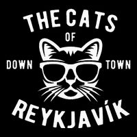 Cats of Downtown Reykjavik Youth Performance Sprint T-Shirt