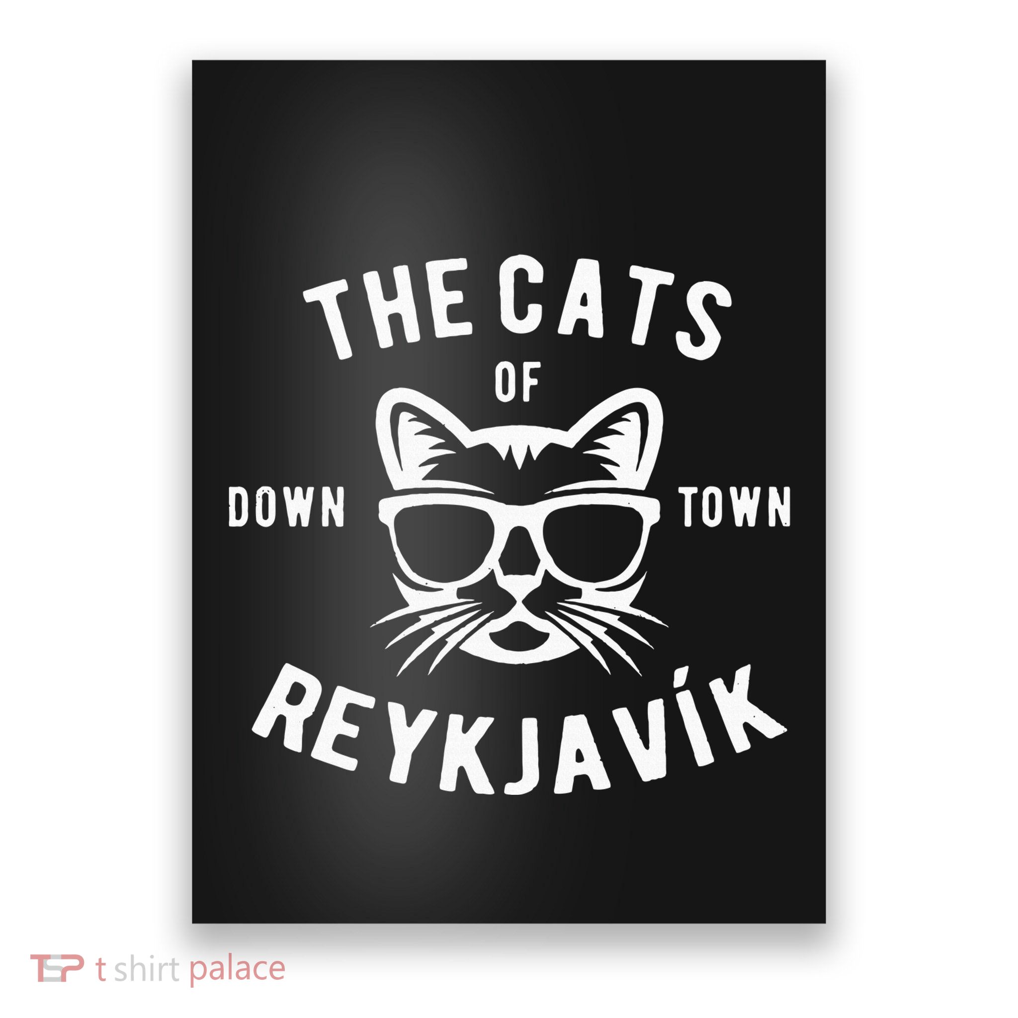 Cats of Downtown Reykjavik Poster