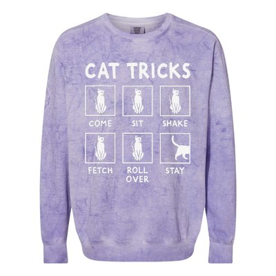 Cat Owner Funny Cat Tricks For Feline Kitten Lover Colorblast Crewneck Sweatshirt