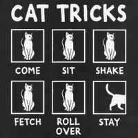 Cat Owner Funny Cat Tricks For Feline Kitten Lover Cool Comfort Performance Bucket Hat