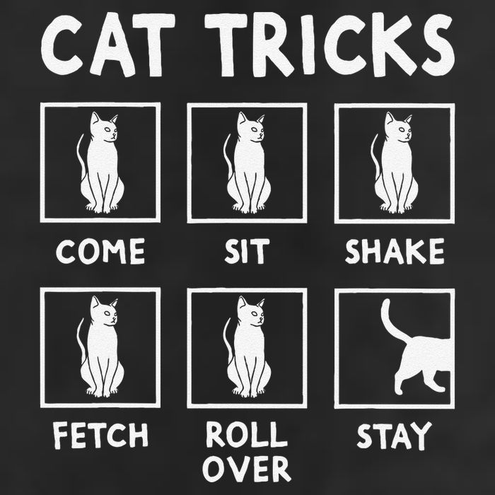 Cat Owner Funny Cat Tricks For Feline Kitten Lover Cool Comfort Performance Bucket Hat