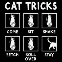 Cat Owner Funny Cat Tricks For Feline Kitten Lover 16 in Basic Backpack
