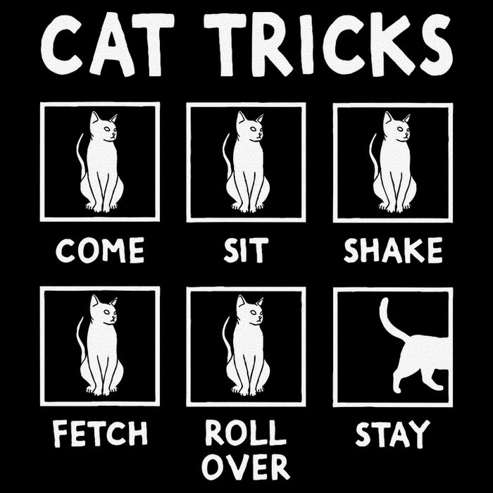 Cat Owner Funny Cat Tricks For Feline Kitten Lover 16 in Basic Backpack