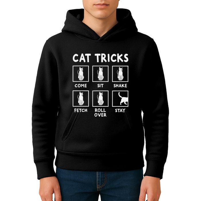 Cat Owner Funny Cat Tricks For Feline Kitten Lover Kids Hoodie