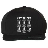 Cat Owner Funny Cat Tricks For Feline Kitten Lover Wool Snapback Cap