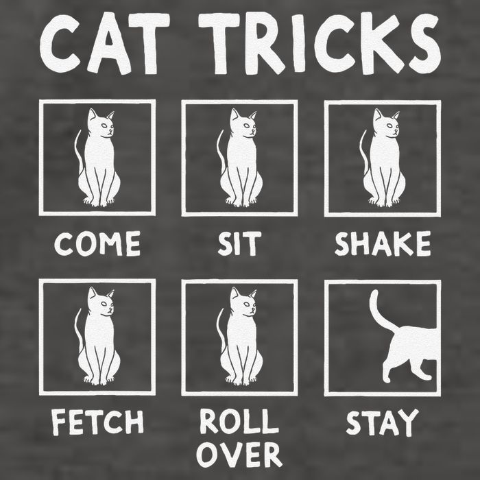 Cat Owner Funny Cat Tricks For Feline Kitten Lover Vector Backpack