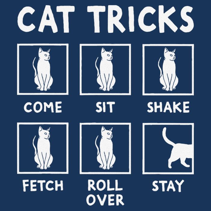 Cat Owner Funny Cat Tricks For Feline Kitten Lover Infant Baby Jersey Bodysuit