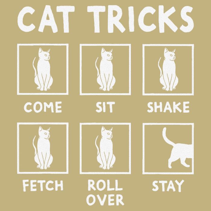 Cat Owner Funny Cat Tricks For Feline Kitten Lover Hoodie