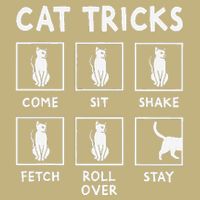 Cat Owner Funny Cat Tricks For Feline Kitten Lover Sustainable Beanie