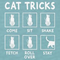 Cat Owner Funny Cat Tricks For Feline Kitten Lover Sueded Cloud Jersey T-Shirt