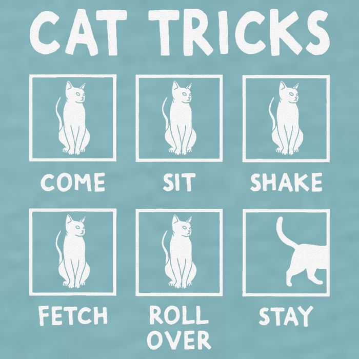 Cat Owner Funny Cat Tricks For Feline Kitten Lover Sueded Cloud Jersey T-Shirt