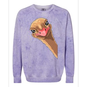 cutes Ostrich face ostrich costume Colorblast Crewneck Sweatshirt