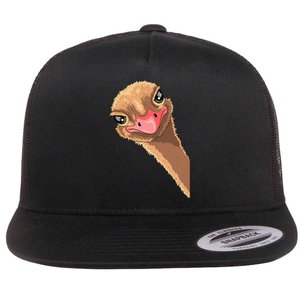 cutes Ostrich face ostrich costume Flat Bill Trucker Hat