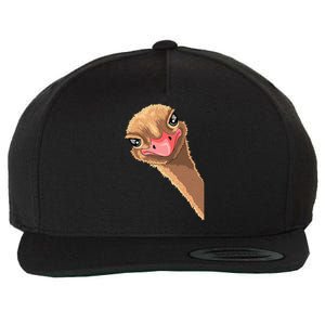 cutes Ostrich face ostrich costume Wool Snapback Cap