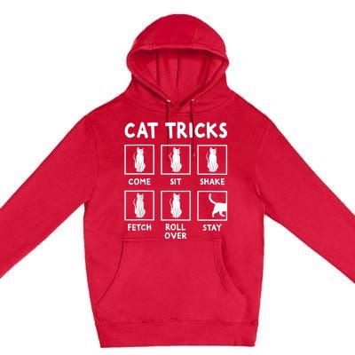 Cat Owner Funny Cat Tricks For Feline Kitten Lover Premium Pullover Hoodie