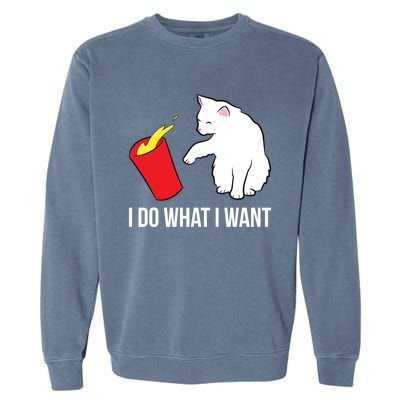 Cat Owner Gift Love Cats I Do What I Want Funny Cat Gift Garment-Dyed Sweatshirt