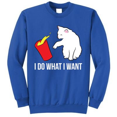 Cat Owner Gift Love Cats I Do What I Want Funny Cat Gift Sweatshirt