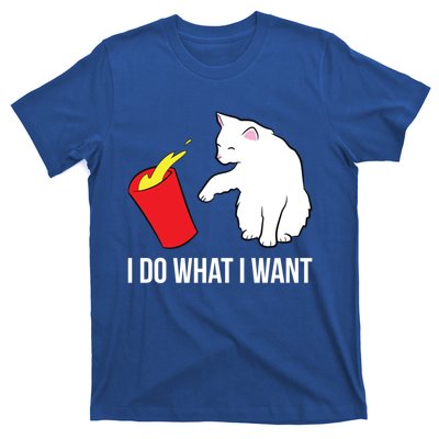 Cat Owner Gift Love Cats I Do What I Want Funny Cat Gift T-Shirt